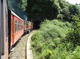 Shimla Toy Train, Shimla