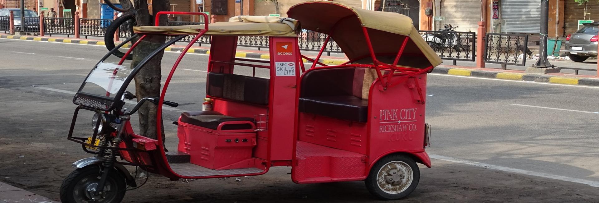 Pink City Rickshaw Tour, Jaipur
