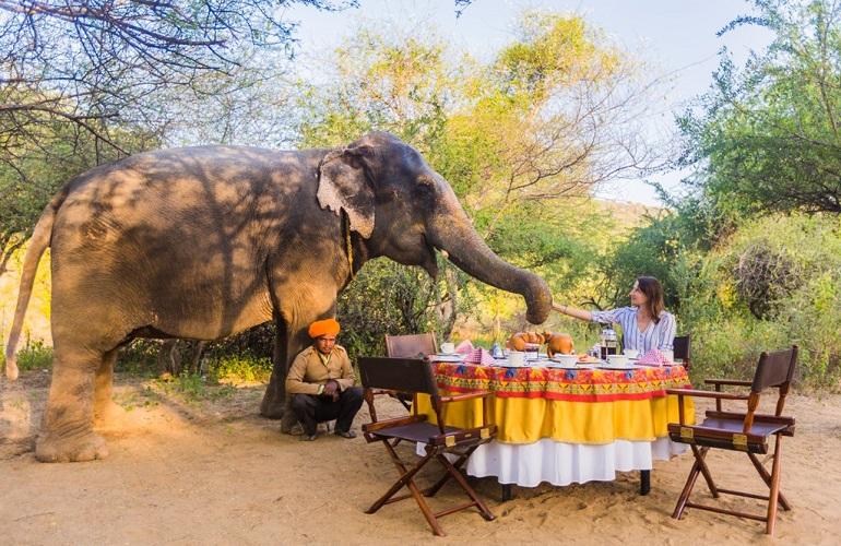 Outdoor Dining, Dera Amer