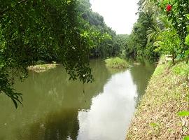 Kerala's Spice Belt