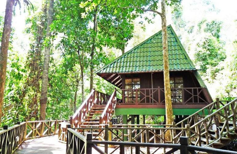 Lodge, Tabin Wildlife Resort