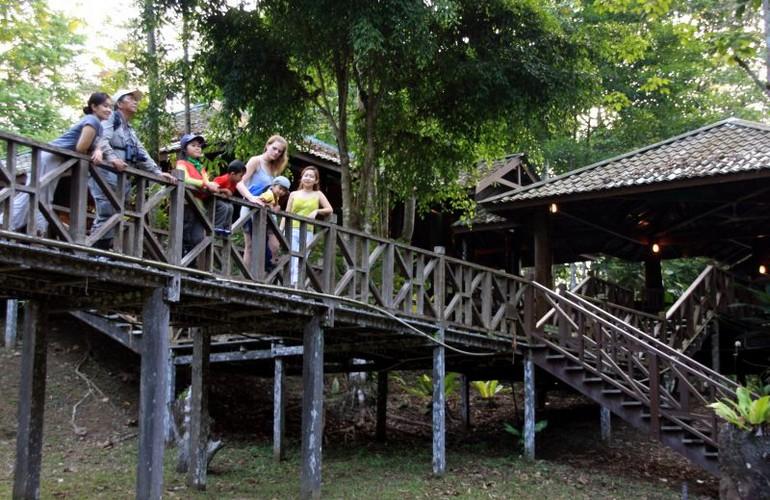 Walkway, Tabin Wildlife Resort