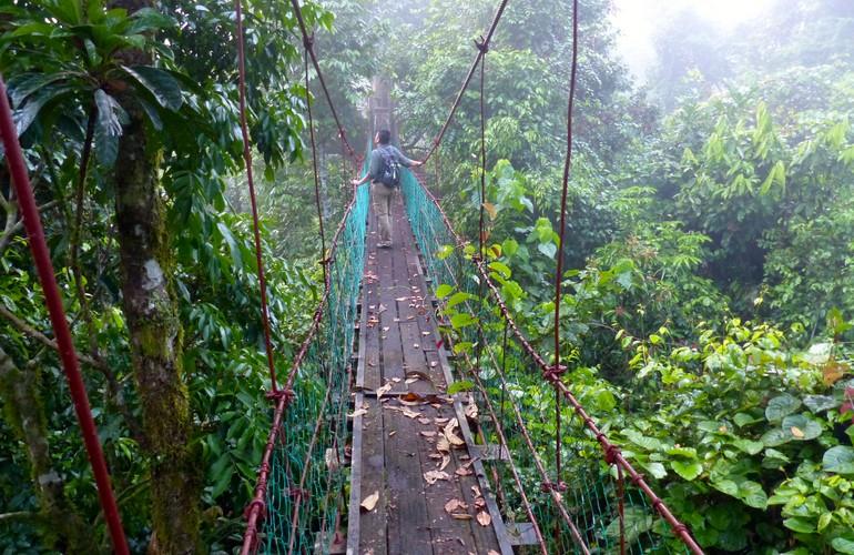 Canopy Walkway, Borneo Rainforest Lodge