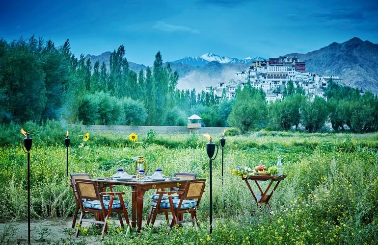 Vegetable garden, Chamba Camp Thiksey