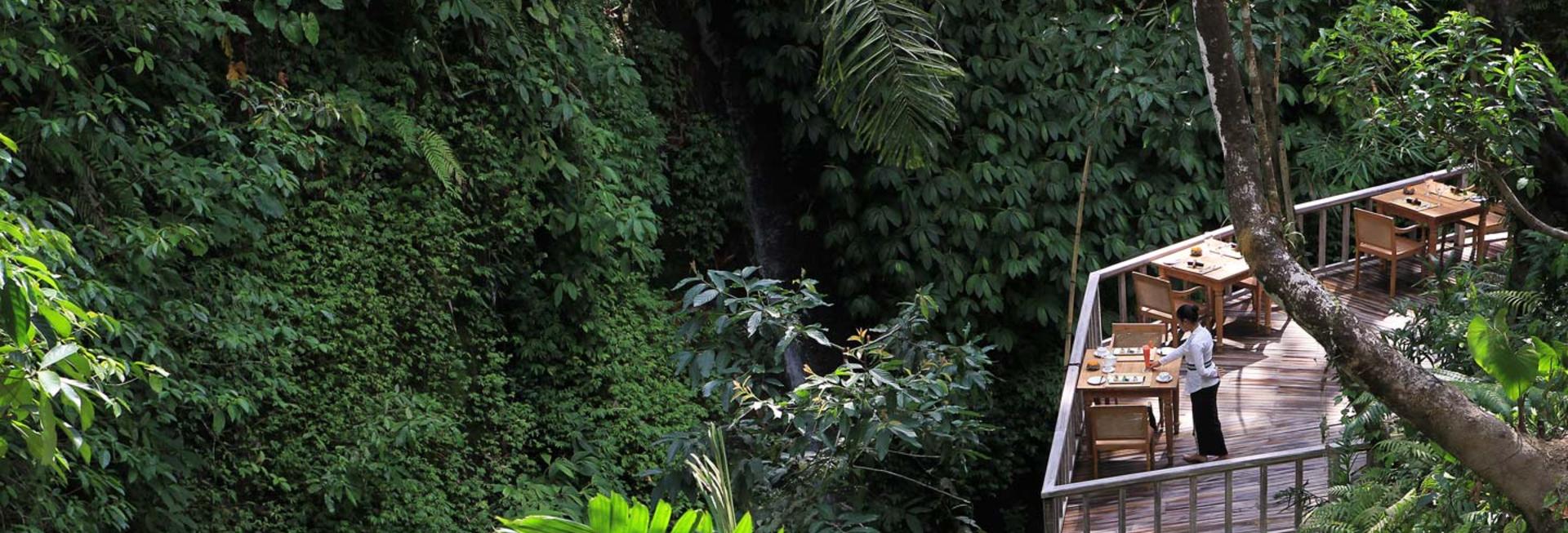 The Kayon Resort