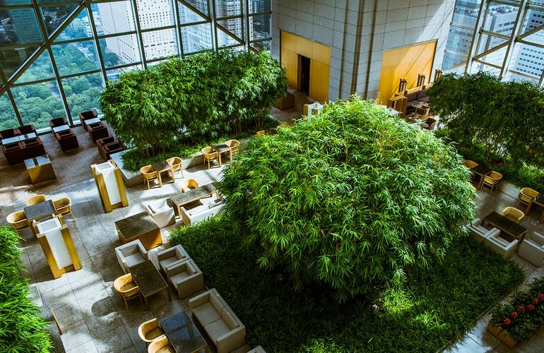The Peak Lounge, Park Hyatt Tokyo