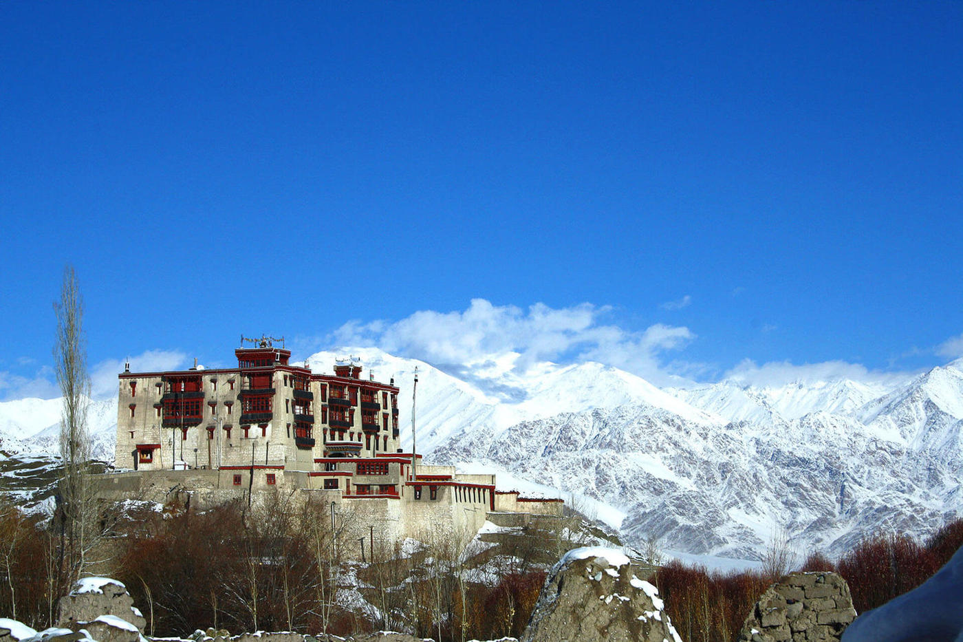 Palace in winter