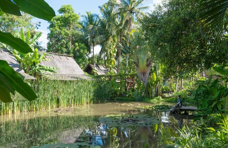 Lotus pond, Maison Dalabua