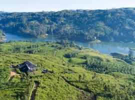 Tea plantation, Hatton