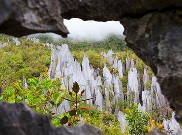  Limestone pinnacles, Mulu National Park