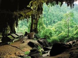 The Great Cave, Niah National Park