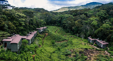 The Rainforest Ecolodge