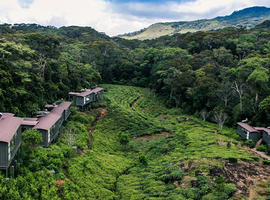 The Rainforest Ecolodge