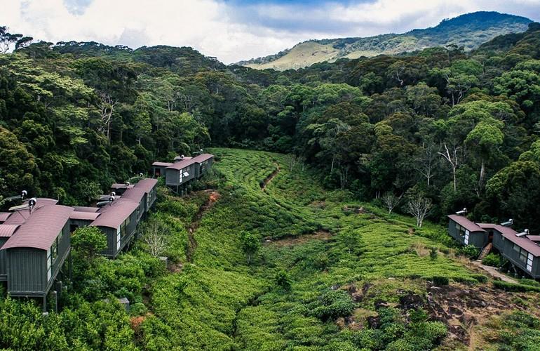 The Rainforest Ecolodge