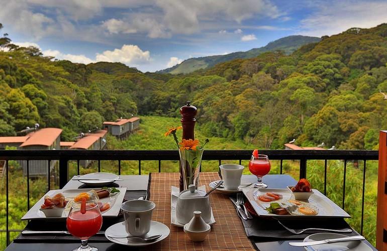 Views, The Rainforest Ecolodge
