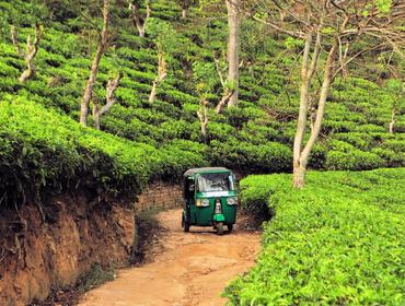 Sri Lankan tuk-tuk