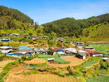 Farms, Nuwara Eliya