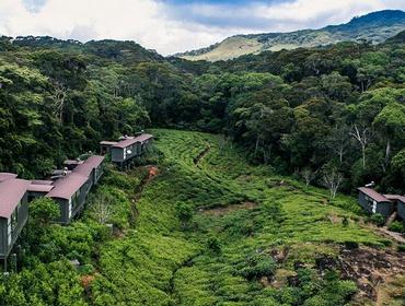 Rainforest Eco-Lodge, Sinharaja Forest Reserve