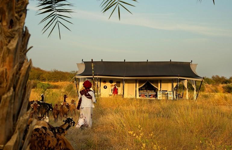 Luxury Tent, Sujan Jawai