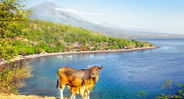 Mount Agung, Bali