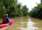 Kayaking on the Kampot River