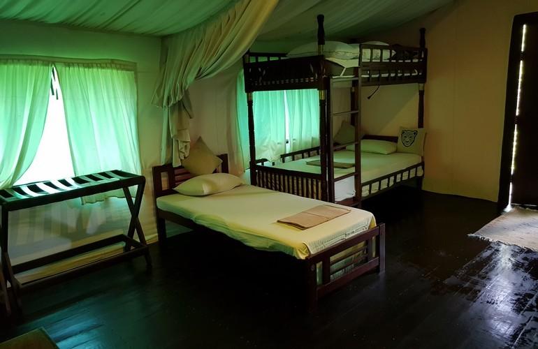 Bedroom, Leopard Safaris by KK Collection