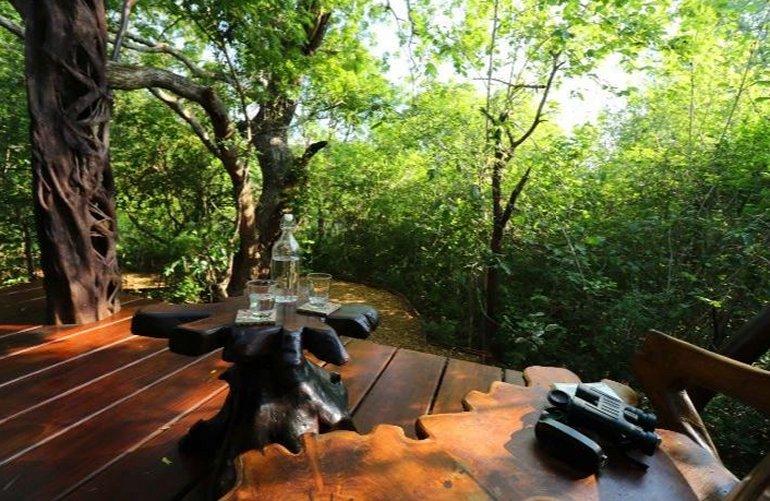 Private Deck, Leopard Safaris by KK Collection