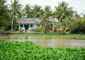 Visit Ben Tre in the Mekong Delta
