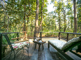 Kanha Jungle Lodge