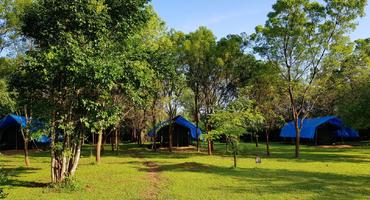 Big Game Camp