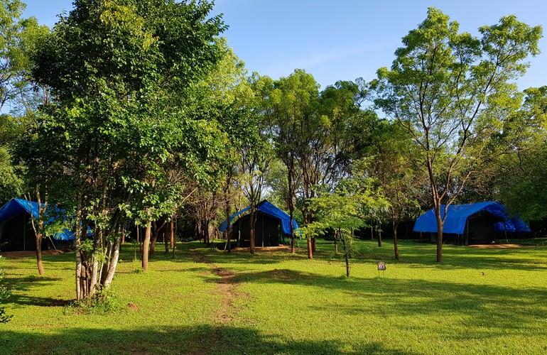 Big Game Camp