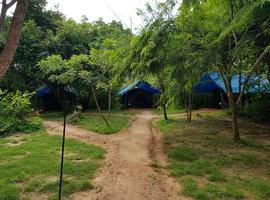 Big Game Camp