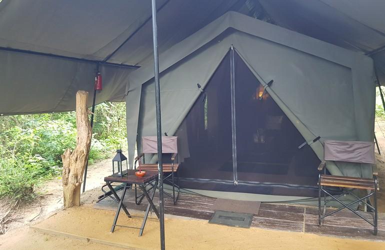 Big Game Camp