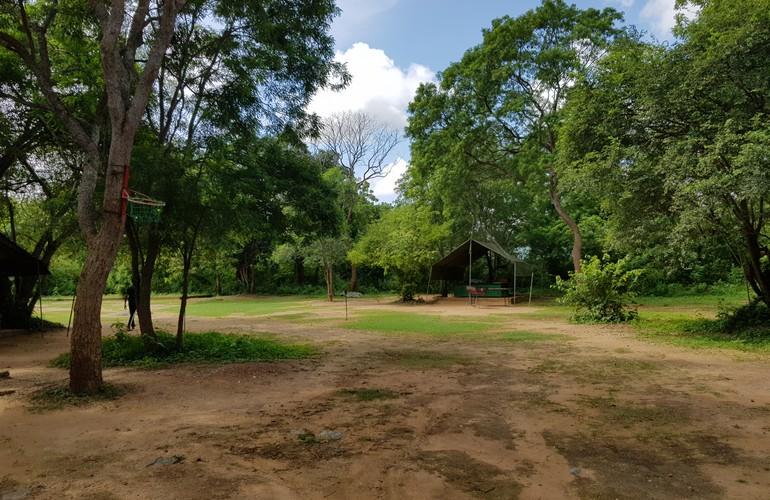 Big Game Camp