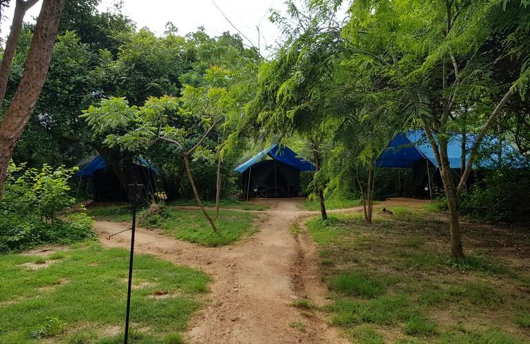 Big Game Camp