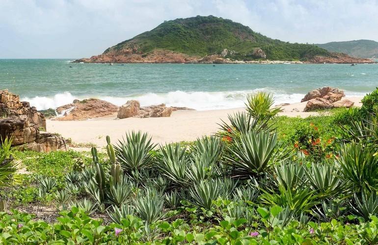 Beach, Avani Quy Nhon Resort