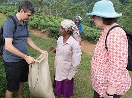 Wilehena Tea Factory