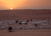 Desert Nights Resort