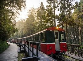 Alishan Forest Railway, Taiwan