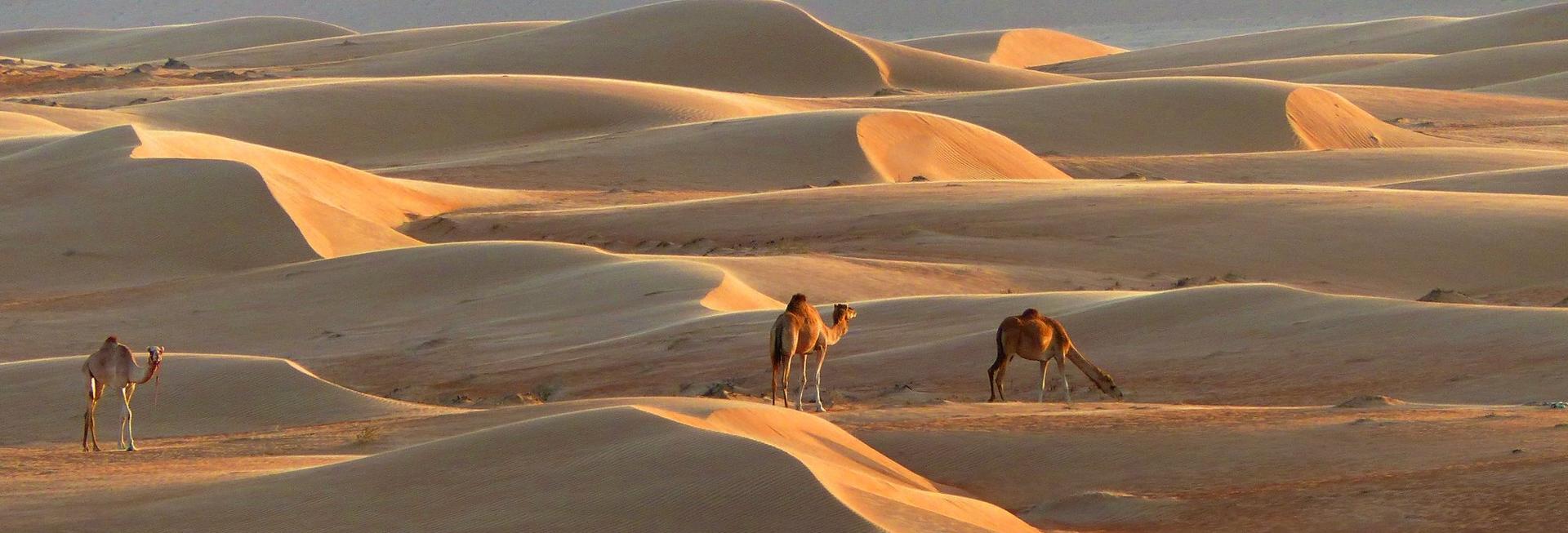 Escape to Oman