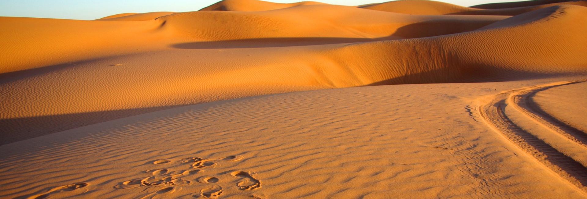 Wahiba Sands