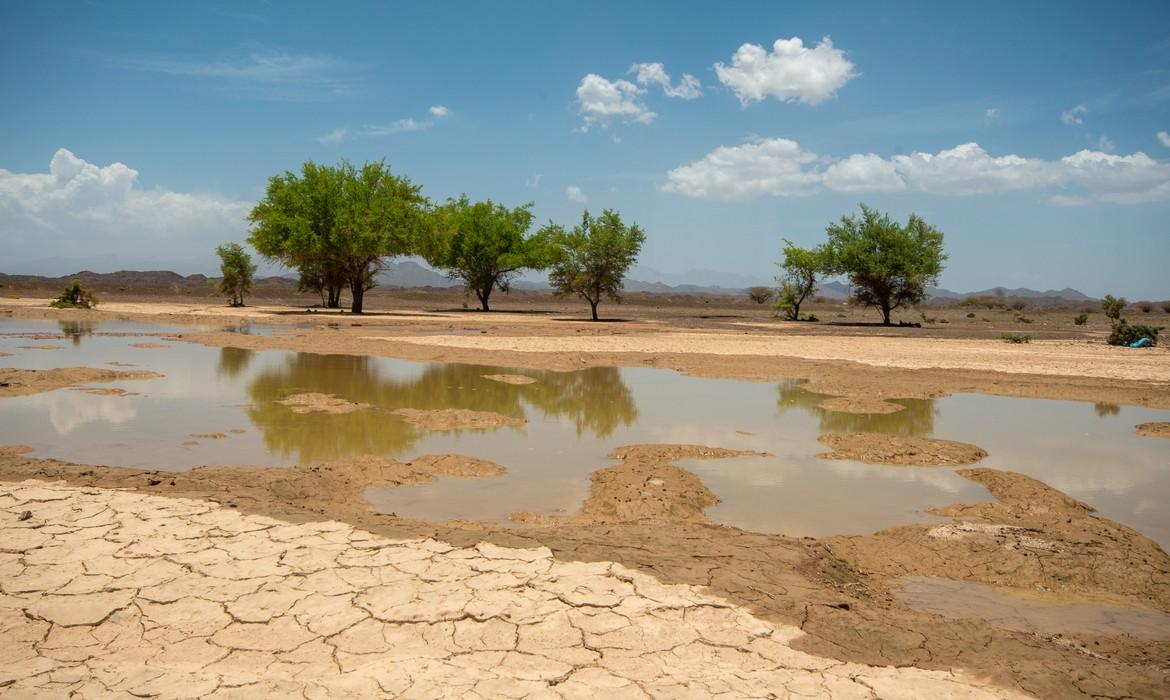 Oasis from rain water, Sinaw