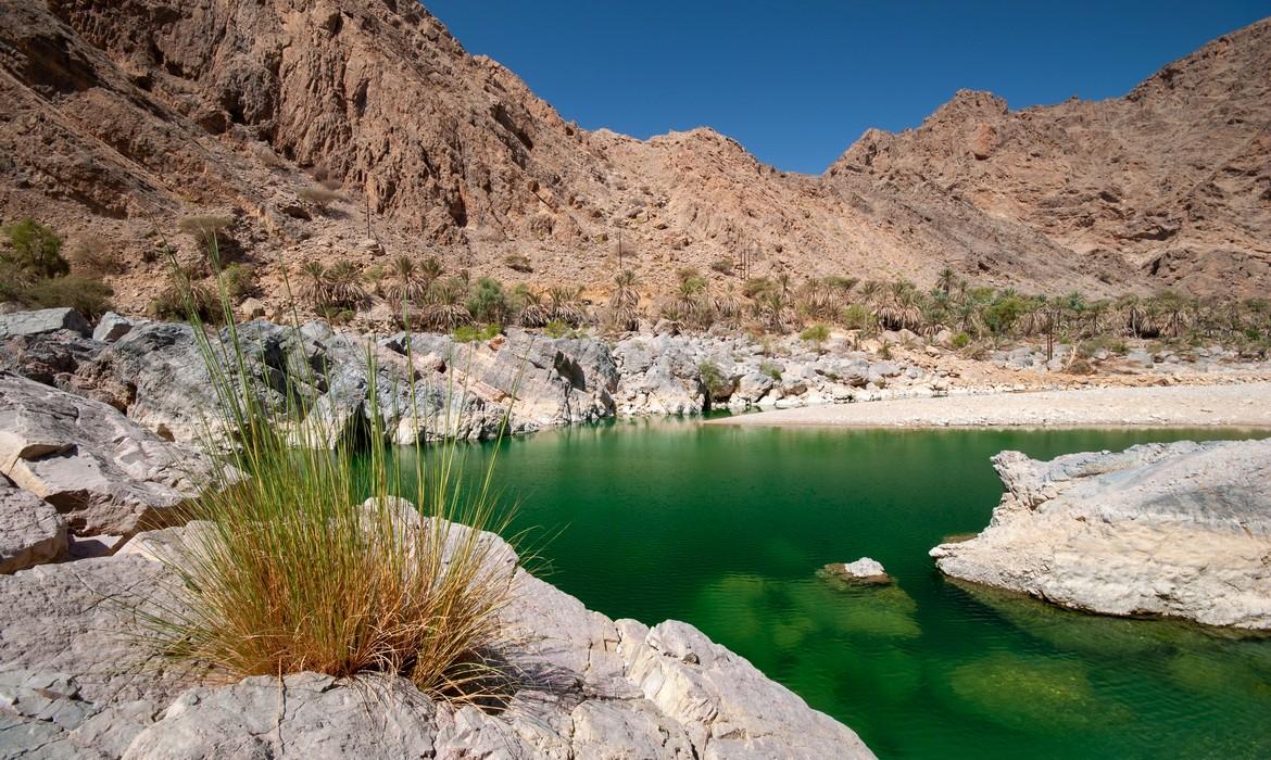 Wadi Arbaeen