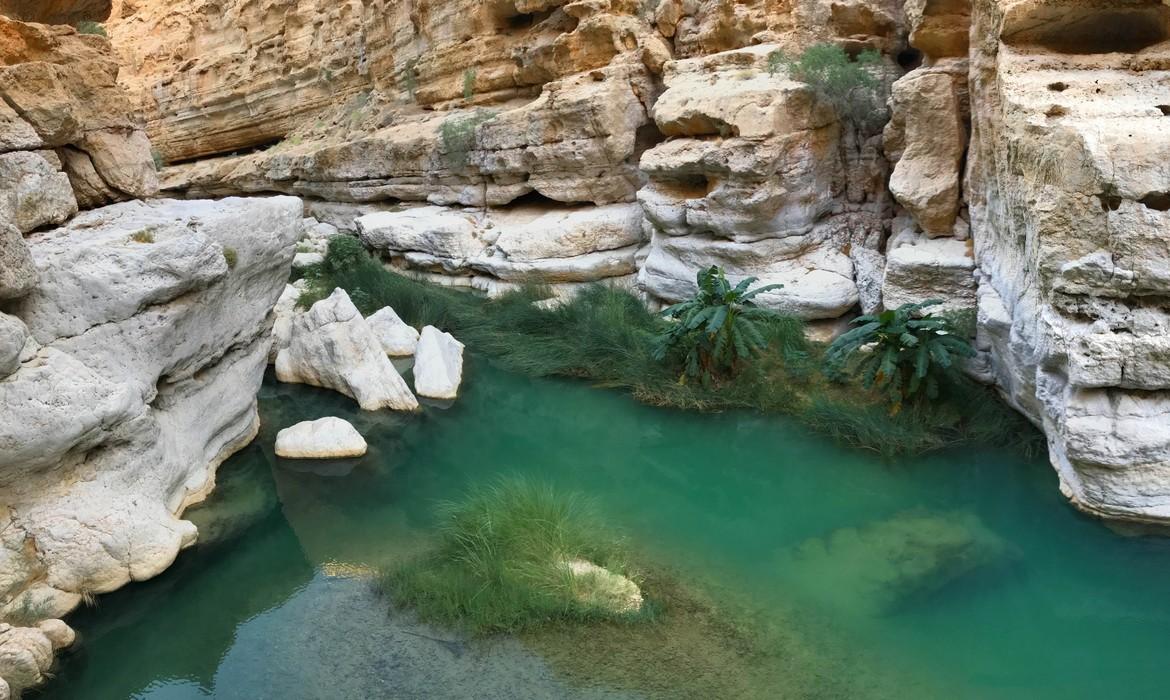 Emerald green swimming waters among the white rocks and hiking trail, Wadi Shab