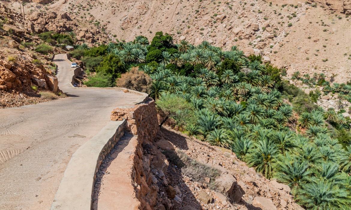 Road in Wadi Tiwi valley