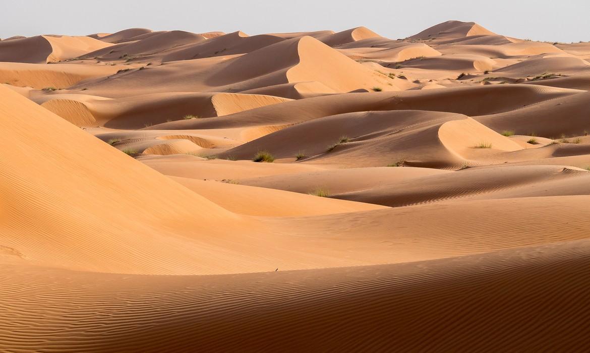 Wahiba Sands