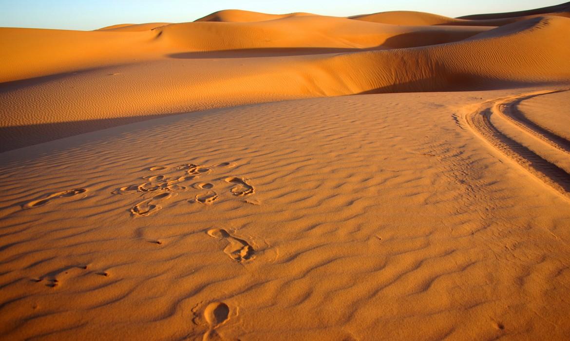 Sandy footprints and tyre tracks, Wahiba Sands