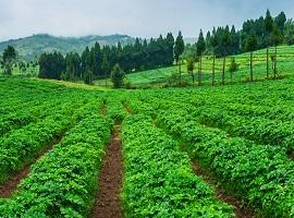 Shillong, India