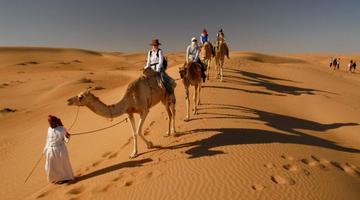 Camel riding, Wahiba Sands