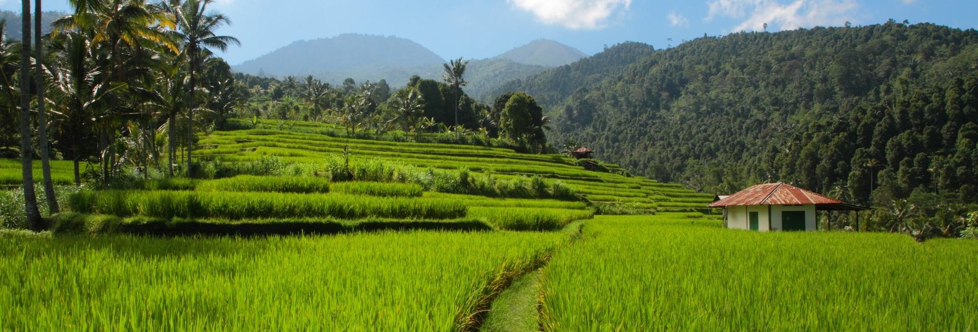 Escape to Bali
